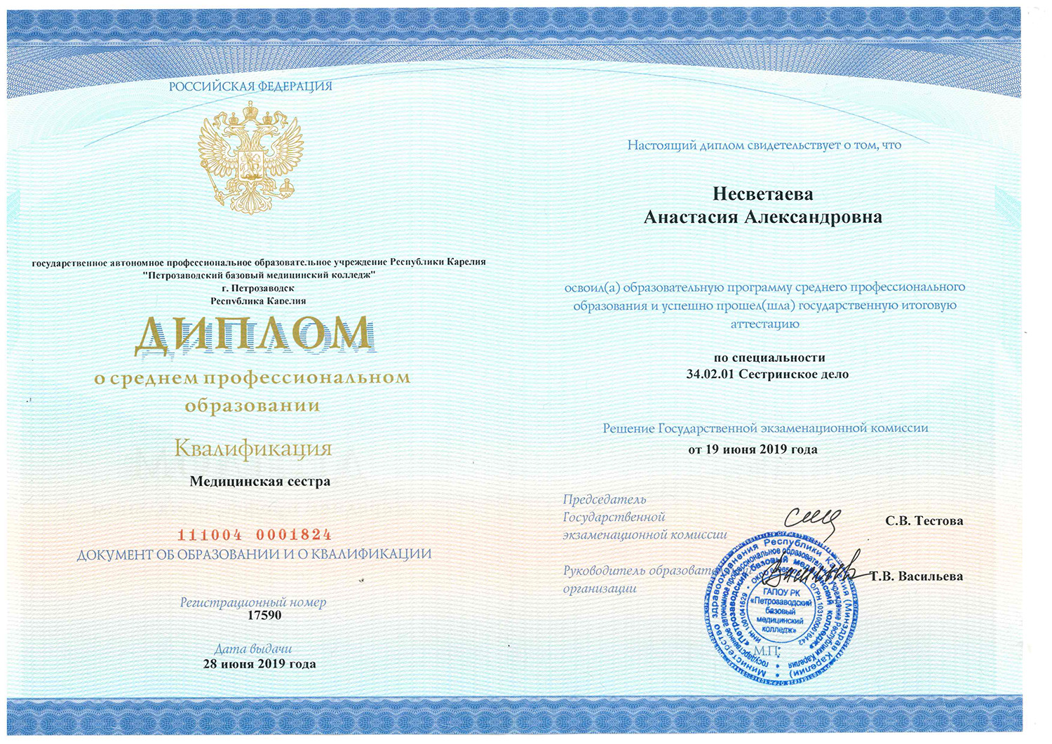 диплом Несветаева Анастасия